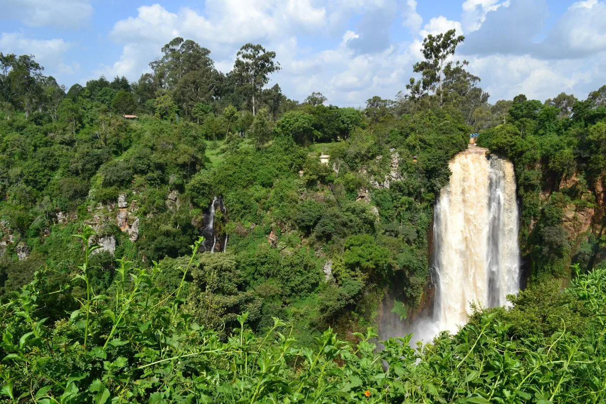 Se rendre au Kenya en 2020 : les informations à savoir