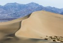 L’agenda de l’Algérie pour le Sahara occidental menace la prospérité régionale