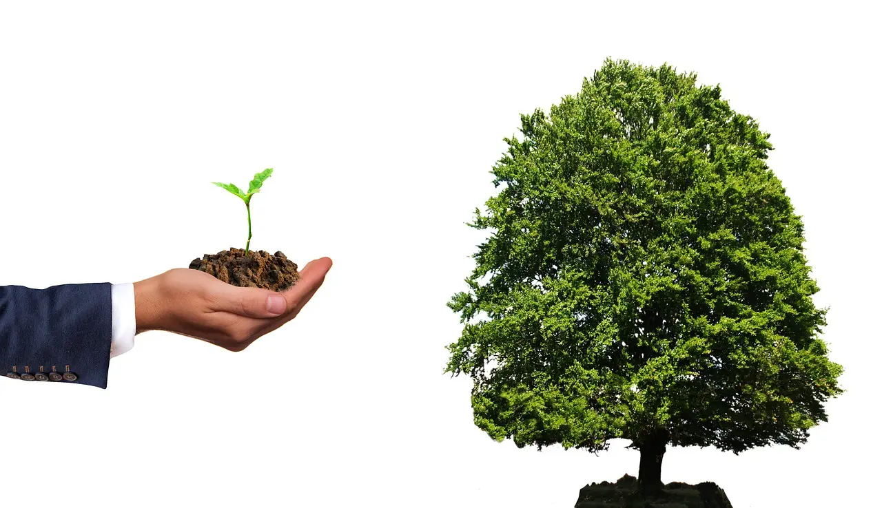 Les meilleures pratiques d’investissement vert mises en avant par les dirigeants est-africains