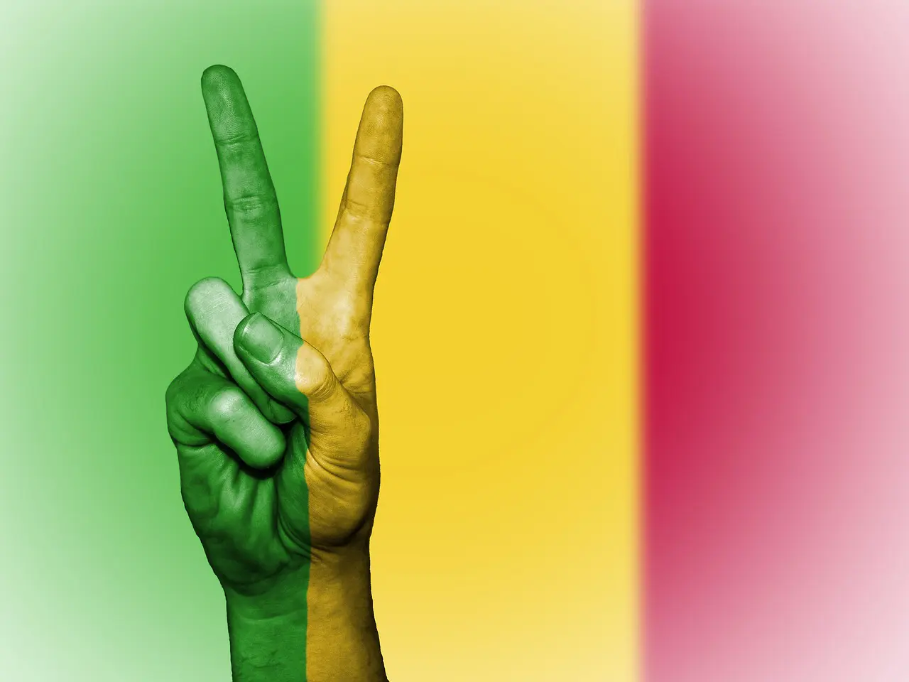 Illustration de l’article : La transition sans fin du Mali suscite des réactions mitigées