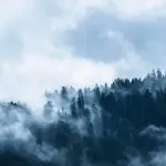 Illustration de l’article : Le Gabon est le premier pays africain payé pour protéger sa forêt