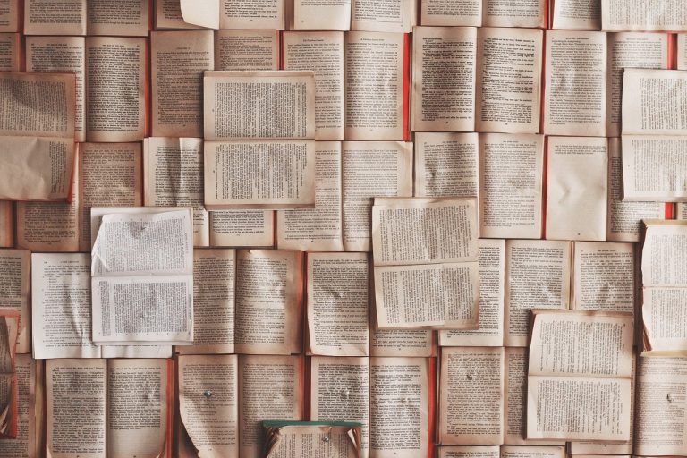 Illustration de l’article : Succès de la première édition du Salon du Livre Africain de Paris