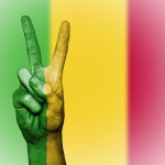 Le Mali est indigné de la déclaration du président français.