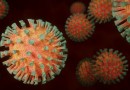La nouvelle variante du coronavirus se développe en Afrique du Sud