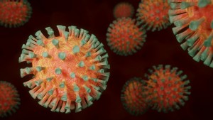 La nouvelle variante du coronavirus se développe en Afrique du Sud