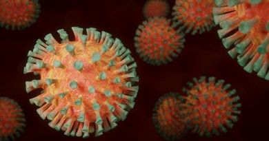 La nouvelle variante du coronavirus se développe en Afrique du Sud