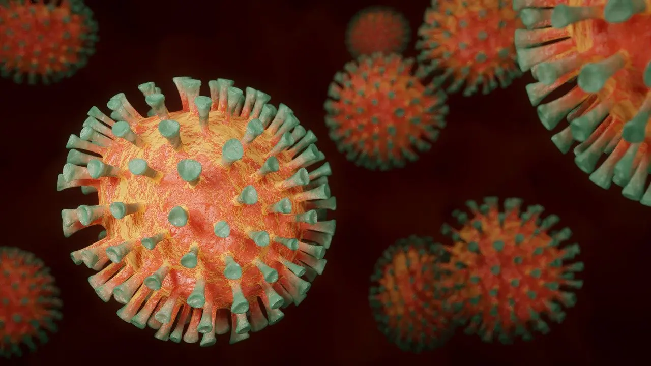 La nouvelle variante du coronavirus se développe en Afrique du Sud