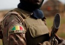 Mali: Aliou Diallo solidaire des FAMA