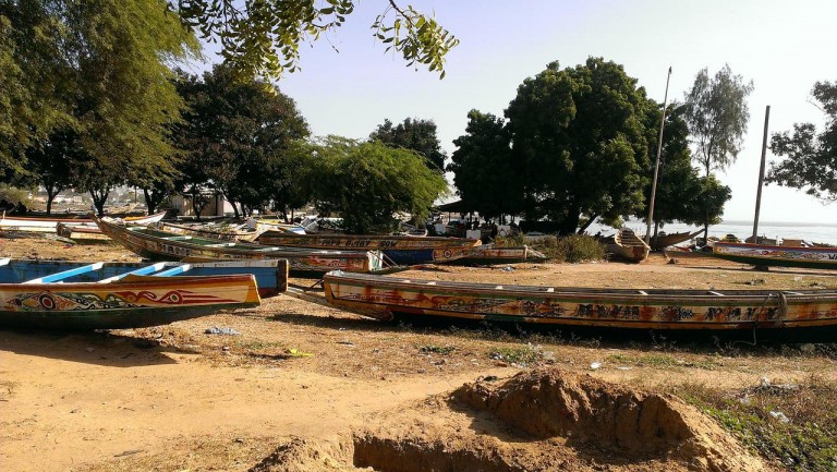 Préserver la faune et la flore au Sénégal