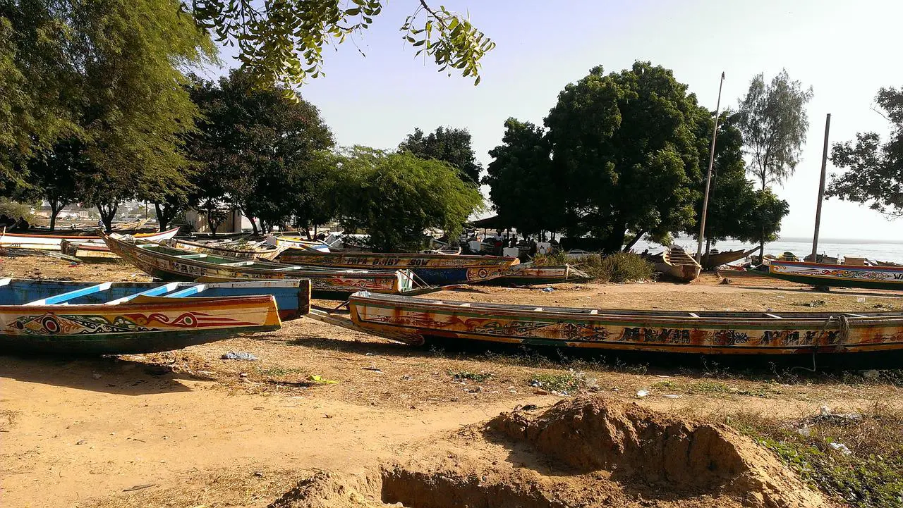 Préserver la faune et la flore au Sénégal