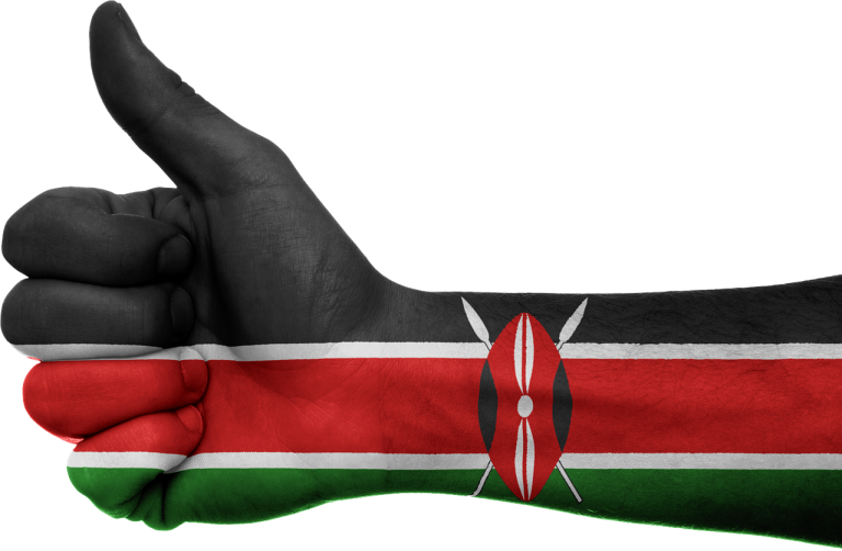 Les résultats de l'élection présidentielle au Kenya