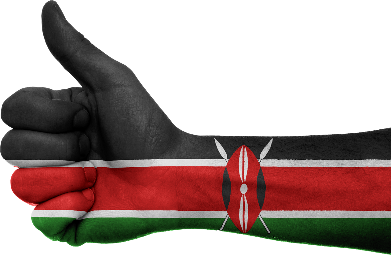 Les résultats de l'élection présidentielle au Kenya