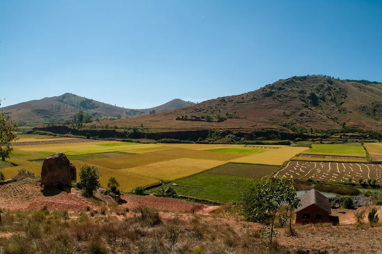 La crise alimentaire à Madagascar