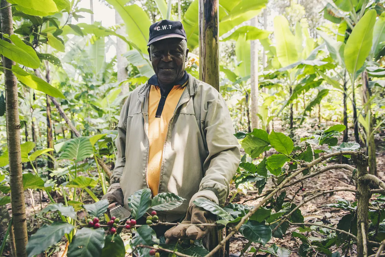L'agriculture en Afrique