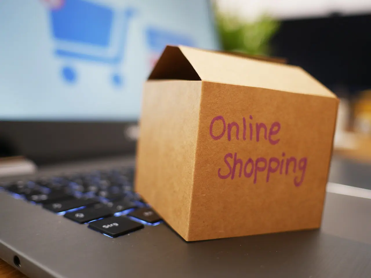 L'e-commerce en Afrique