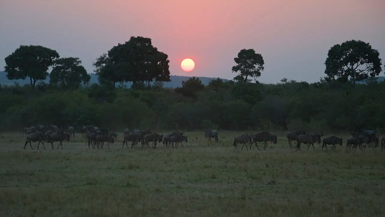 Soutenir la biodiversité en Afrique du Sud