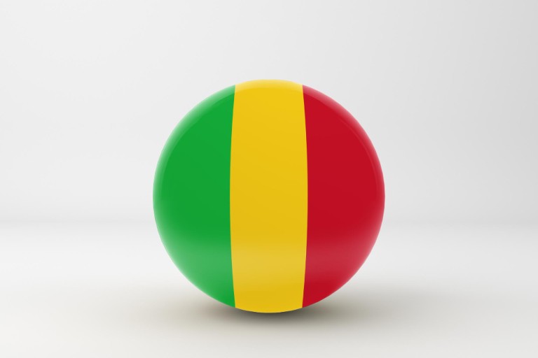 Illustration de l’article : Mali : la cohérence politique d’Aliou Diallo sur le cas du Niger