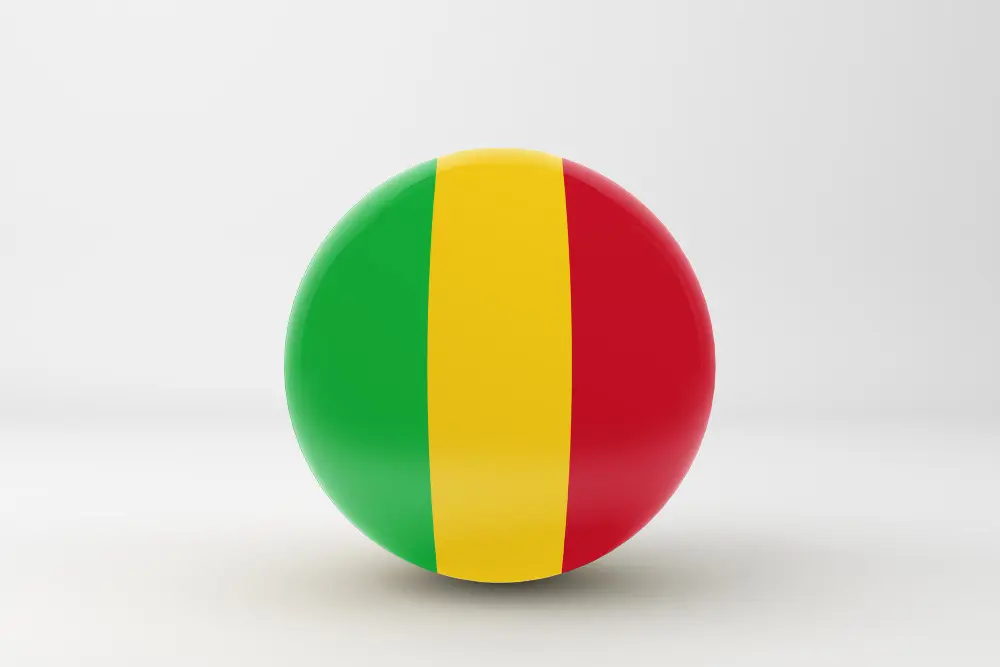 Mali : la cohérence politique d’Aliou Diallo sur le cas du Niger