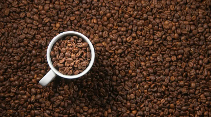 Le prix du cacao