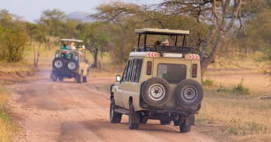 Des conseils pour un safari en Afrique