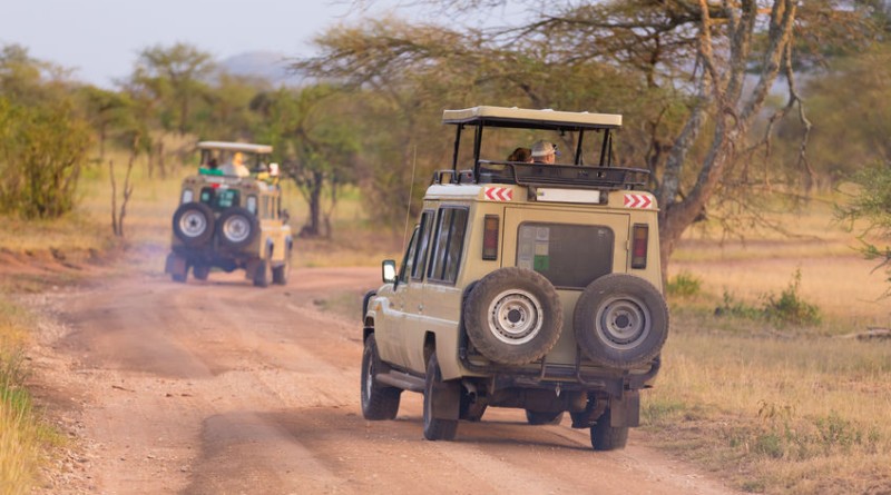 Des conseils pour un safari en Afrique