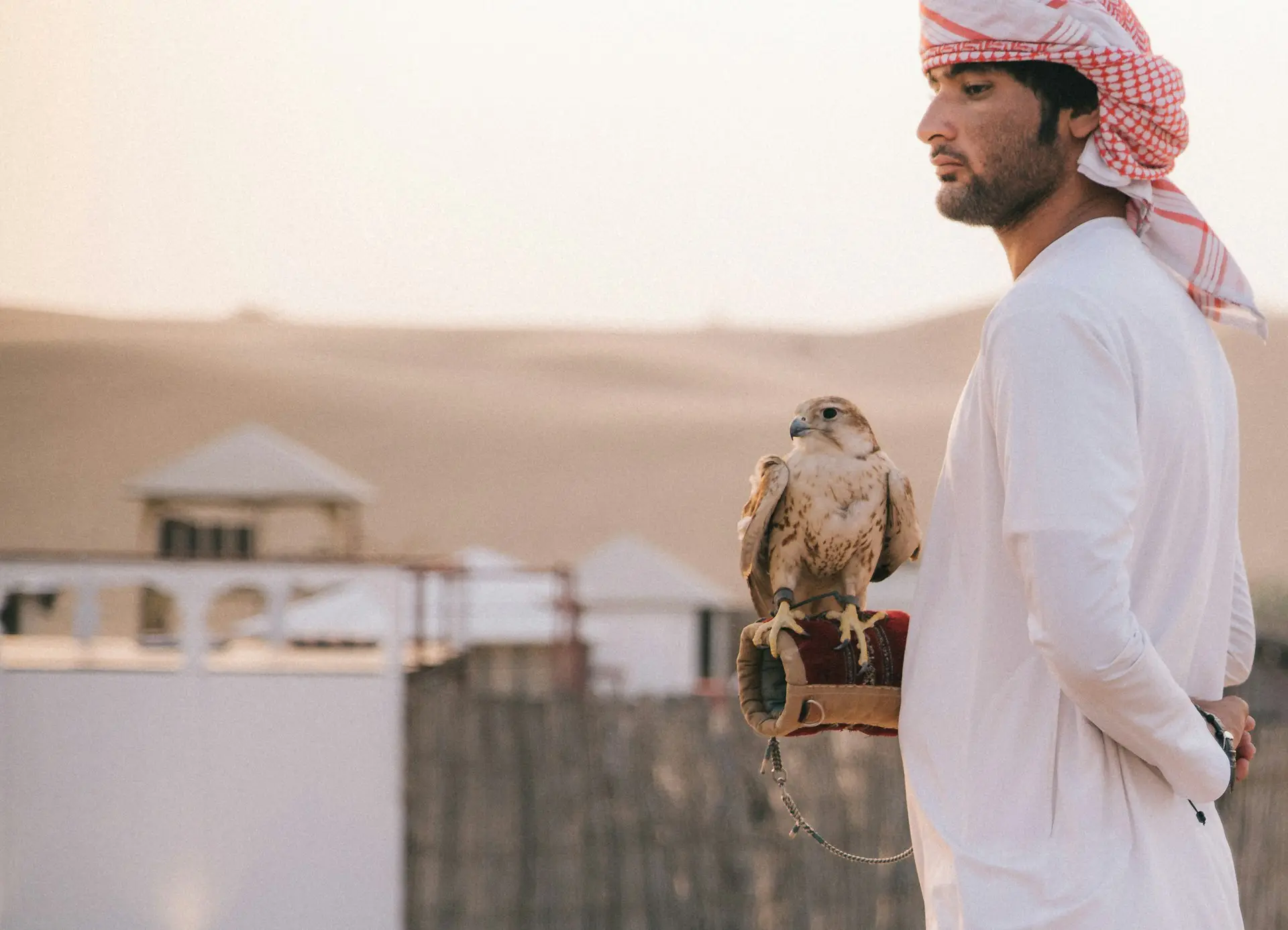 Les Emirats arabe unis en Afrique