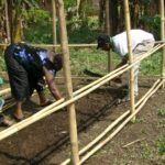 Prix du cacao au Cameroun : cours, ONCC et enjeux