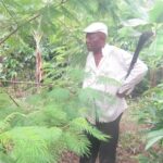 Cameroun, Côte d’Ivoire, Ghana : qui produit le plus de cacao ?