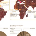 Pourquoi le prix du cacao baisse au Cameroun ?