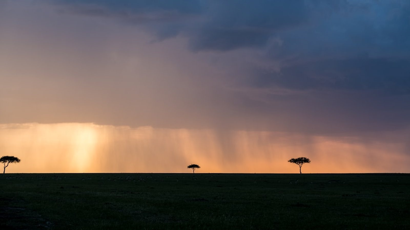 PIB de la Tanzanie en 2026 : tourisme, gaz et croissance stable
