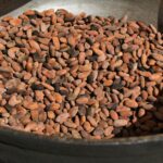 campagne café-cacao 2026-2027 Nawa - Les Afriques