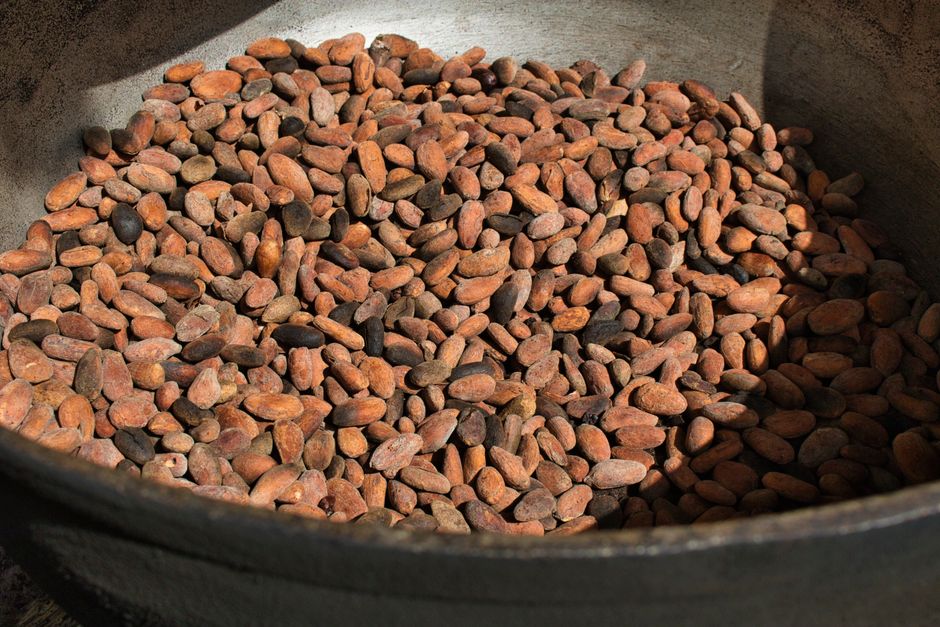 campagne café-cacao 2026-2027 Nawa - Les Afriques