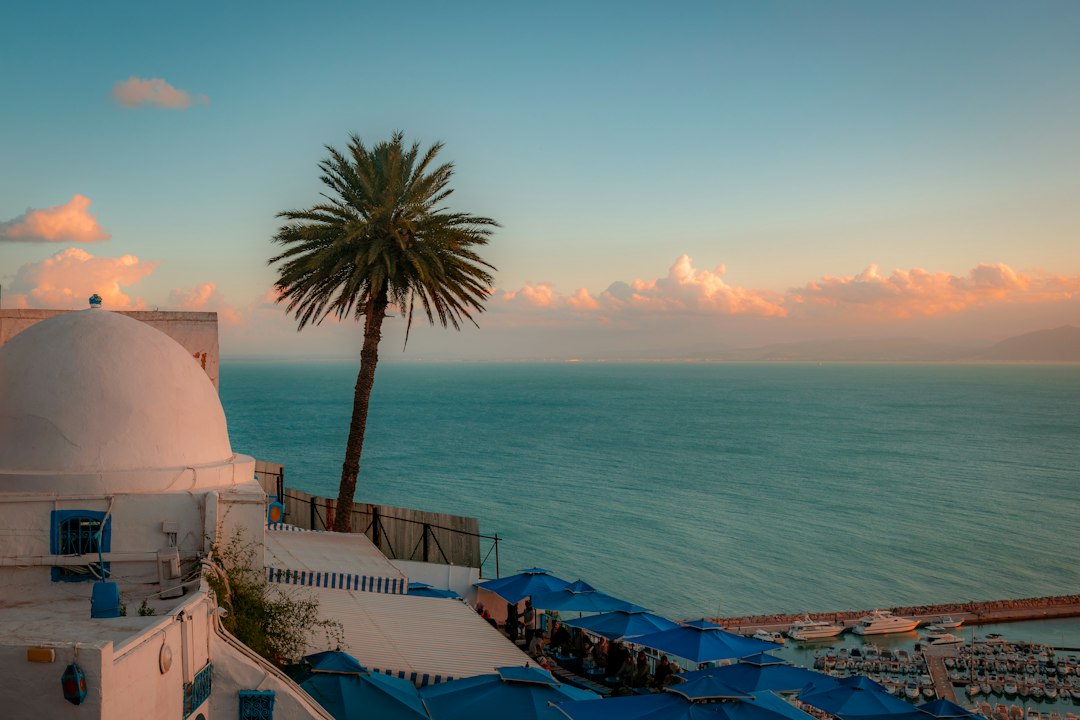 Investir dans l’immobilier en Tunisie : prix, rendements et cadre légal 2026