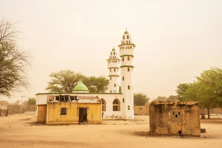 reform of the Senegalese education system Arabic language - Les Afriques