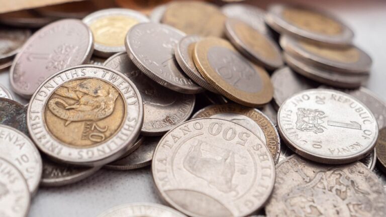 Envoyer de l'argent vers le Kenya : shillings kenyans