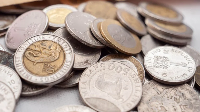 Sending money to Kenya: Kenyan shillings