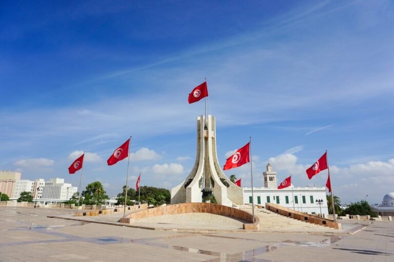 Average salary in Tunisia: Tunis, jobs and economy